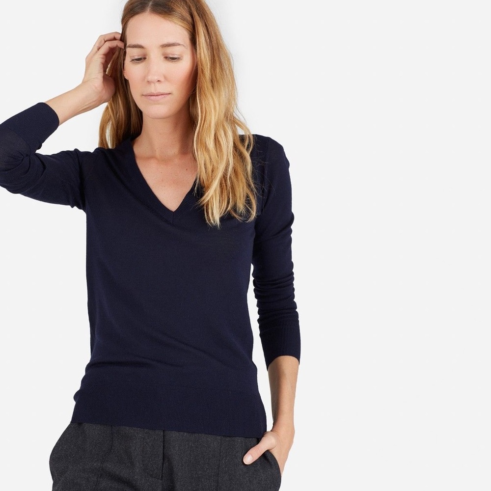 Everlane Luxe Wool V-Neck